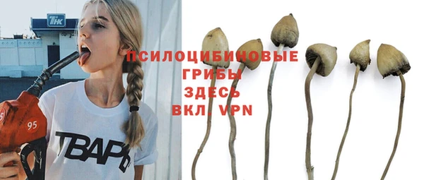 гидра Богородицк