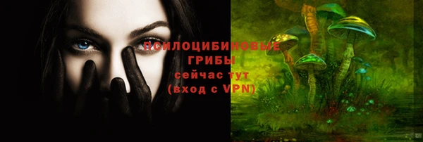 трава Беломорск