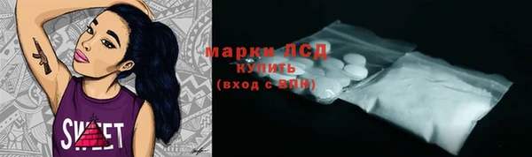 гидра Богданович