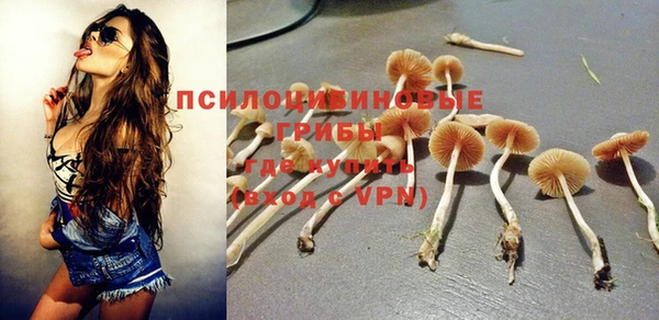 стаф Тихорецк