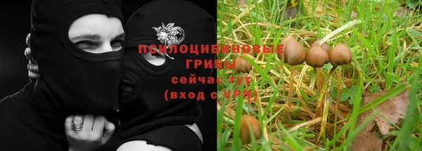 гидра Богданович