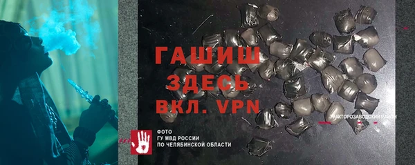 гидра Богородицк