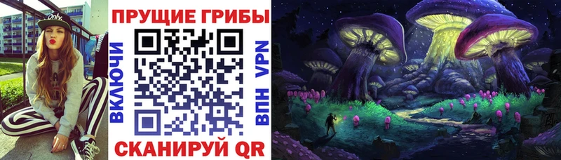 ссылка на мегу ссылка Кудымкар Псилоцибиновые грибы GOLDEN TEACHER